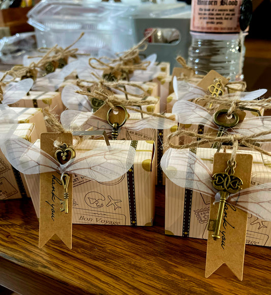 Hogwarts inspired Luggage Magical Pack